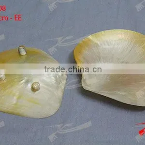 Shell / MOP Plate thumbnail-1