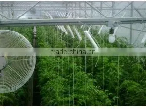 Hanging Plant Hook for Tomato Stem thumbnail-1