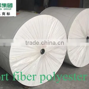 Polyester Mat for Bitumen Membrane thumbnail-1