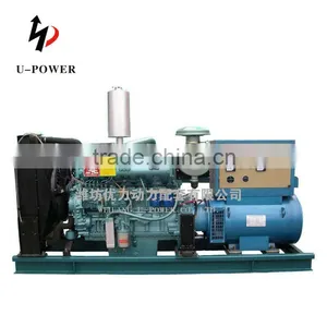 Diesel Engine Generator Set Powered by CW200 thumbnail-1