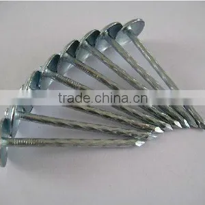 9gauge Galvanized Twist Shank Umbrella Head Roofing Nail thumbnail-1