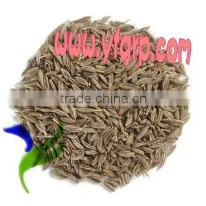 Cumin Seeds thumbnail-1