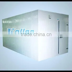 Low Temperature Cold Room For Fish/Meat Storage (-20 Degree) thumbnail-3