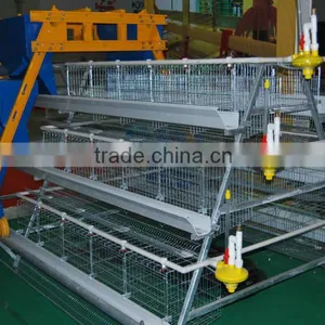 Galvanzied Chicken/poultry Cages For Egg-laying Hens thumbnail-1