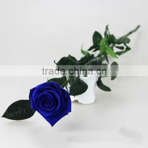2016 Yiwu Aimee Wholesale Dubai Importers Hotsale Preserved Fresh Flower(AM-PF03) thumbnail-3
