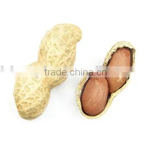 Best Peanuts With Top Grade From China thumbnail-6