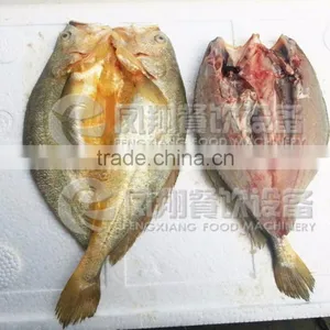CE Approved FGB-170 Fish Belly Splitting Machine thumbnail-5