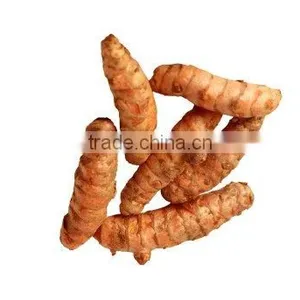 Turmeric Finger thumbnail-1