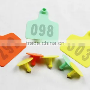 Animal Livestock Identification Cattle Ear Tags thumbnail-6