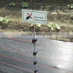 Electric Fence for Poultry Farming thumbnail-1