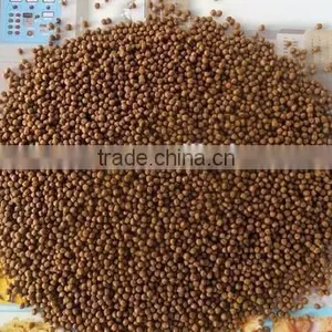 New Design High Quality Floating-feed Pellet Dryer Machine thumbnail-4