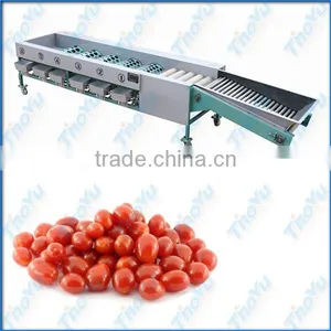 Thoyu Brand Automatic Cherry Tomatos Grading Machine With Low Price(SMS:0086-15903675071) thumbnail-1
