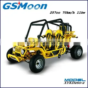 250cc Water Cooling EEC/EPA Sand Beach Buggy thumbnail-4