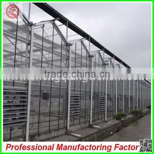 Hot Sale 9.6m Multi-span Agriculture Glass Greenhouse Grow Tent for Planting thumbnail-4