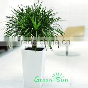 Self Watering Plastic Garden Pot thumbnail-1