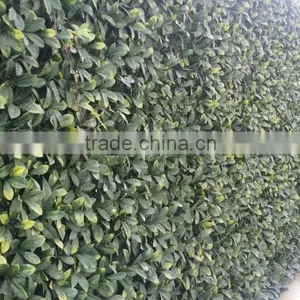 SJ04001115 High Quality Plastic Artificial Grass Turf Mat thumbnail-3