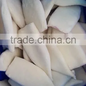 Squid Tube U5 of Illex Squid thumbnail-3