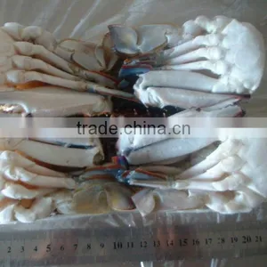 High Quality Seafood Frozen Crab Cakes thumbnail-1