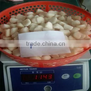 IQF New Frozen Bay Scallops Seafood (100-120) thumbnail-1