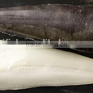 Patagonian Toothfish thumbnail-2