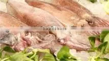 Seafood Frozen Squid (Loligo Japonoca) thumbnail-1