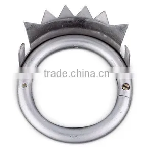 Calf Nose Ring thumbnail-1