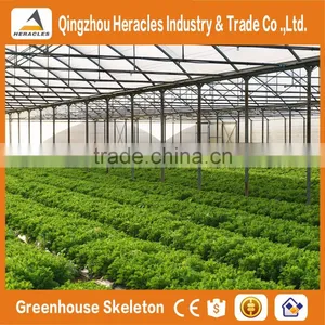 Heracles Trade Assurance Commercial Hydroponics Greenhouse thumbnail-3