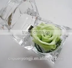 Hot Sale Long Lasting Preserved Flower Ring Box For Valentine's Day Gift thumbnail-2