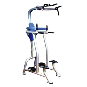 Fitness Tree Commercial Gym Equipment Vertical Leg Raise Machine thumbnail-1