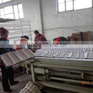 Molded Pulp Environmental Packing for Mobile Phone thumbnail-6