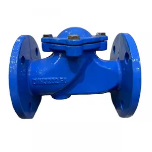 DIN 3202 Flange Cast Iron Ductile Iron GG25 GGG50 Check Valve PN16 Non Return Valve Ball Type Check Valve thumbnail-1