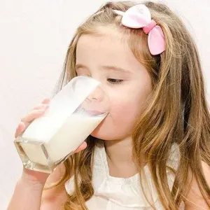 Professional Complete Oats Milk Production Line Tigernuts Milk Almond Nut Nuts Milk Making Machine on Sale thumbnail-4