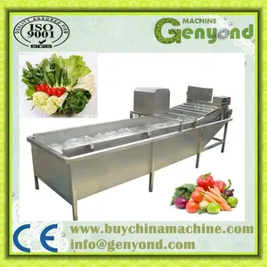 Quick Freezing Vegetable Tpye Tunnel Freezer Machines Frozen Vegetable and Fruit Production Line thumbnail-2