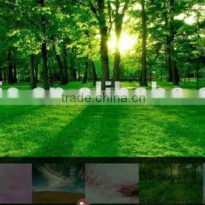 Flash Website, Flash Design, High Quality Flash Design thumbnail-2