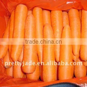 New Chinese Fresh Carrot thumbnail-1