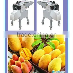 2013 Best Seller Wide Output Mango Dicing Machine thumbnail-1