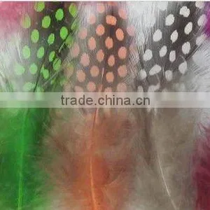 Feathers for Sale Cheap thumbnail-1