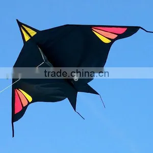 Delta Kite thumbnail-1