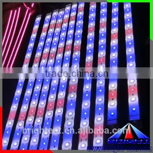 Smd 5050 ShenZhen Supplier Dual White ( Pure White + Warm White )LED Strip Light Waterproof IP68 DC12V Flexible Light thumbnail-5