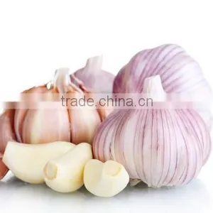 2016 NEW CROP GARLIC thumbnail-1