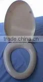 Toilet Lid Mould thumbnail-1