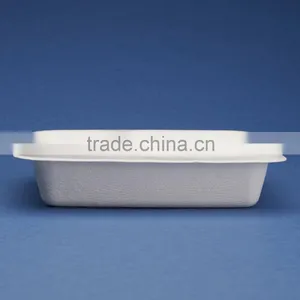 Sugercane 7x6 Inch 2 Compartment Tray thumbnail-2