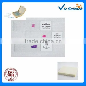 Embryo Prepared Slides Embryo of Chicken Serial T.s 96 Hours From Factory thumbnail-1