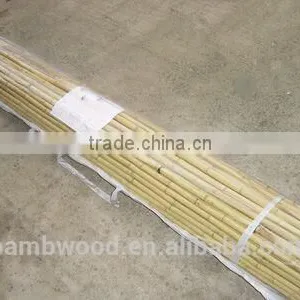 Colored Bamboo Fence thumbnail-2