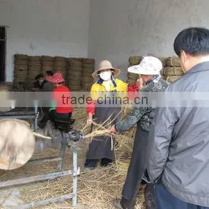 Famous Brand Rope Braiding Machine thumbnail-1
