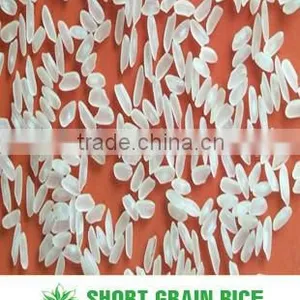 MEDIUM ROUND RICE 5% BROKEN - CROP 2015 thumbnail-1