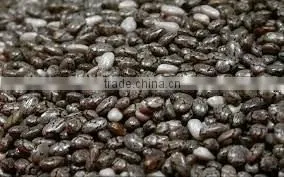 Chia Seeds thumbnail-1
