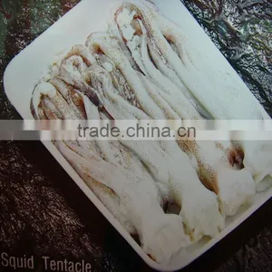Good Price of Frozen Squid thumbnail-1
