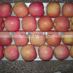 2015 New Crop Chinese Fresh Fuji Apple From Best Food thumbnail-3