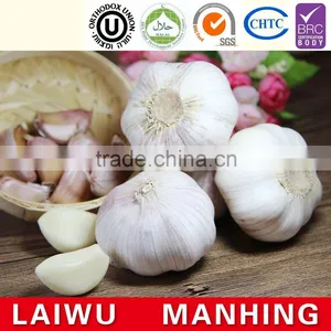 Red Fresh Garlic Supplier thumbnail-1